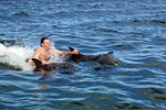 Катание на дельфинах - незабываемое впечатление